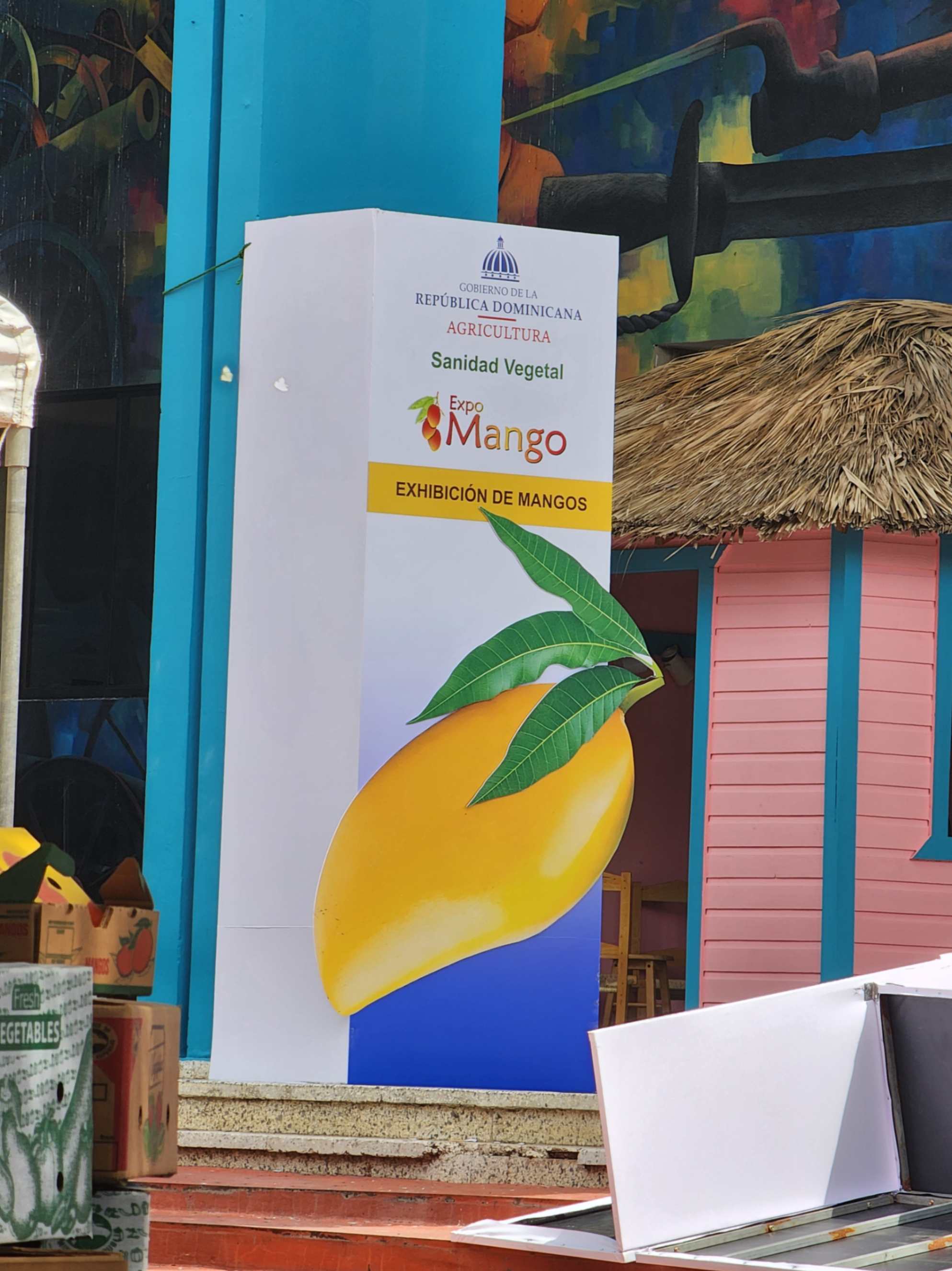 Stand del Festival del Mango en Baní con visitantes y productos derivados