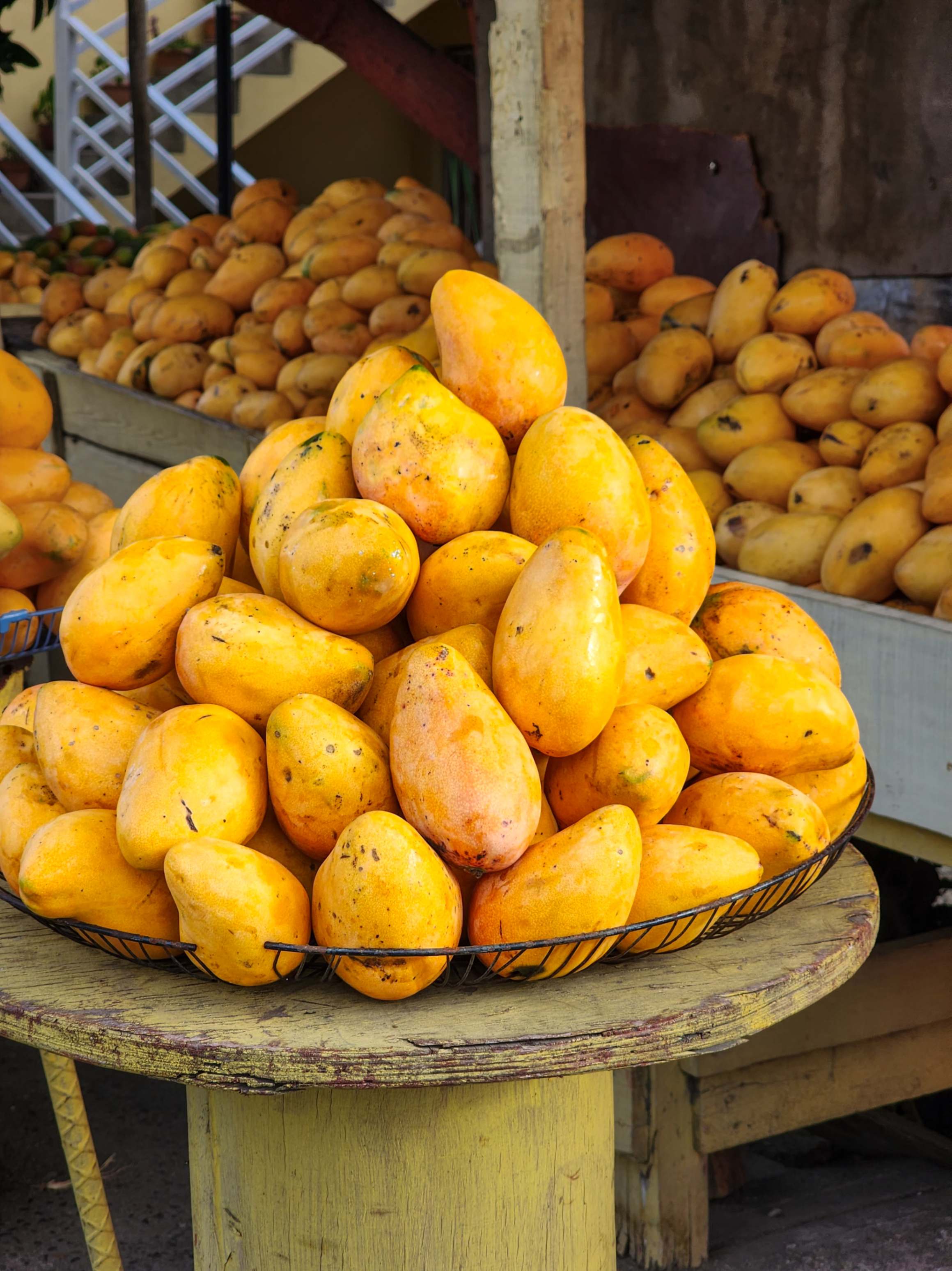 Los mangos banilejos, una delicia tropical de República Dominicana