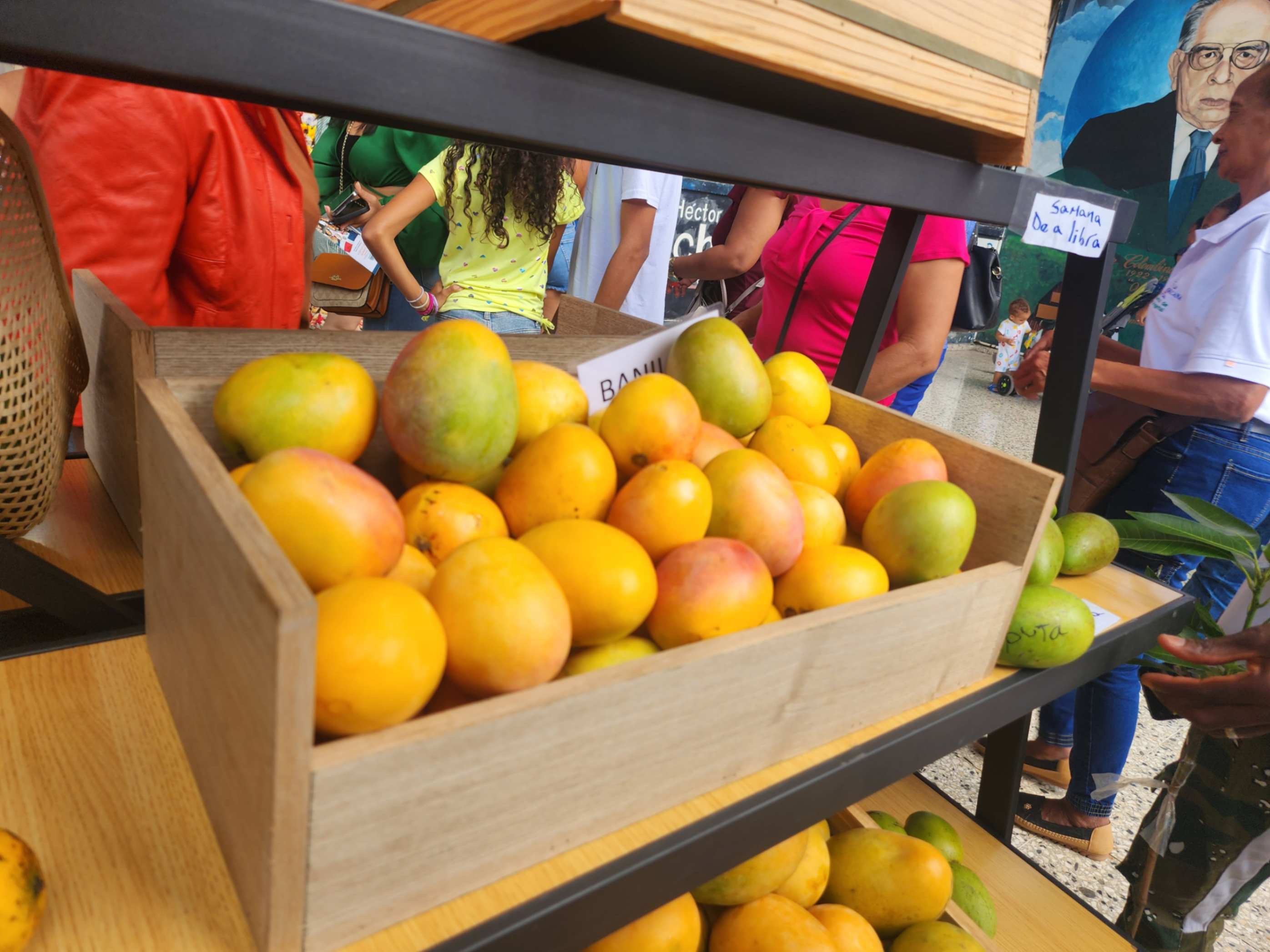 Primer plano de un mango banilejo maduro con tono amarillo anaranjado