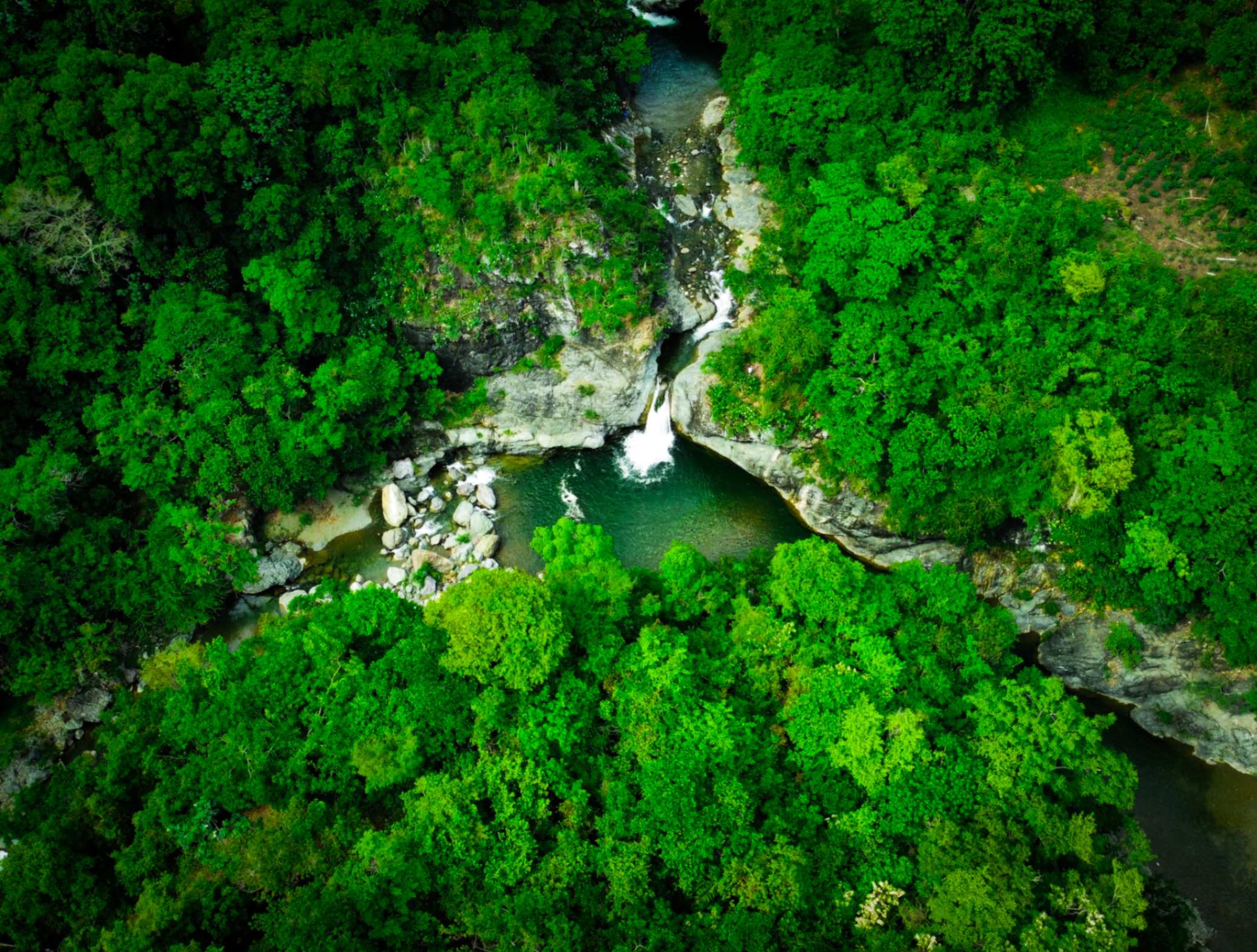 Las Yayitas: Un Paraíso de Ecoturismo en Baní