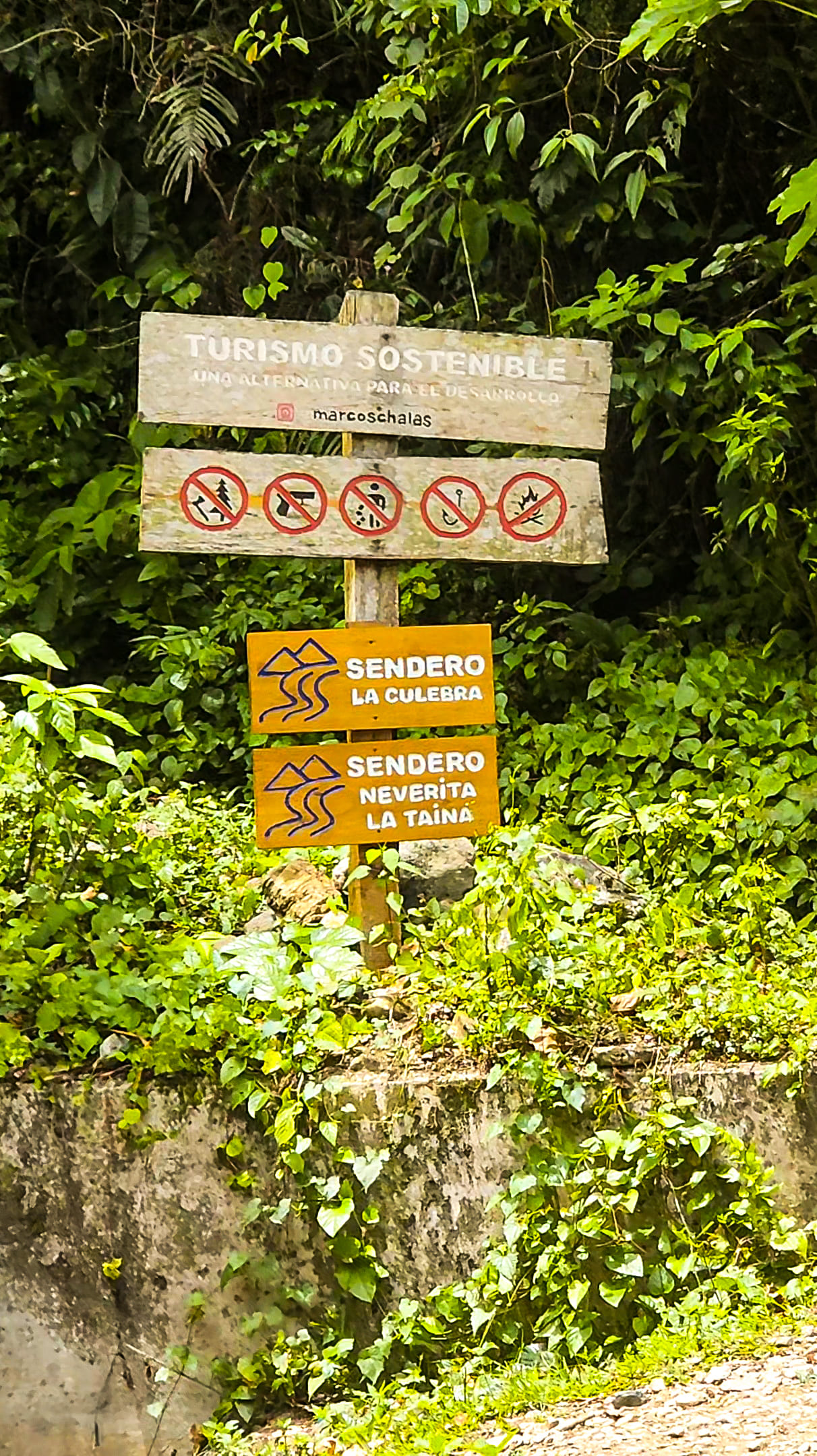 Sendero hacia la Cascada La Taina en Los Cacaos