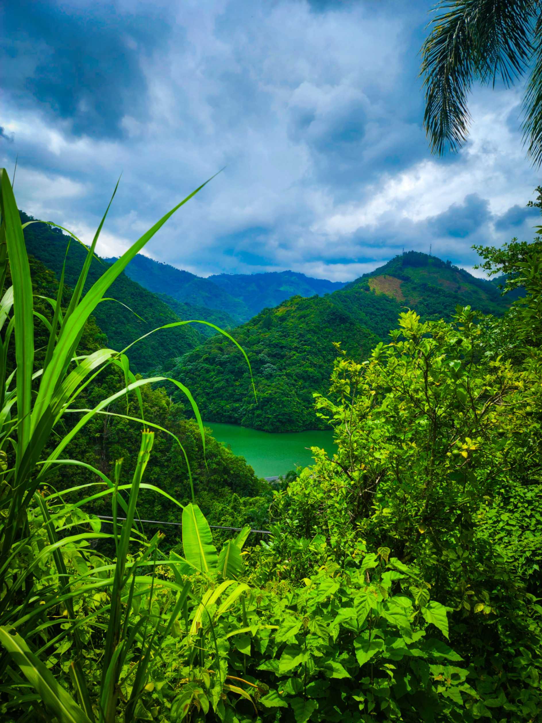 Esta es la vista de los cacaos desde las montanas de ocoa
